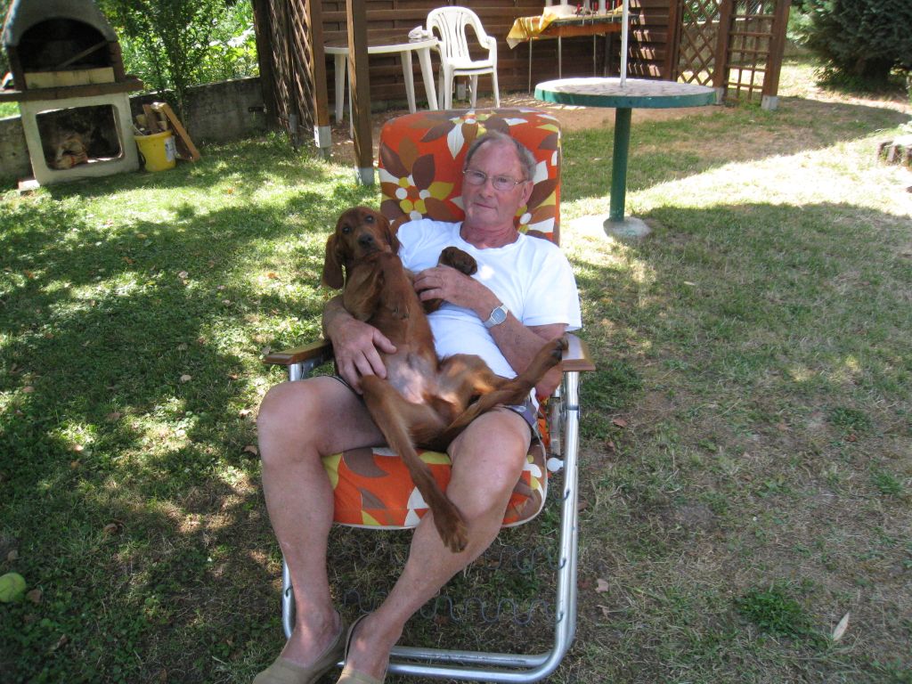 CHIENS CLIENTS