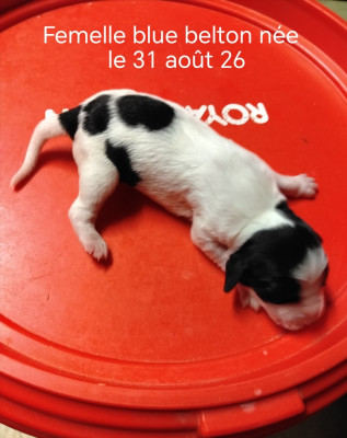 F2