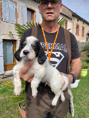MALE 3